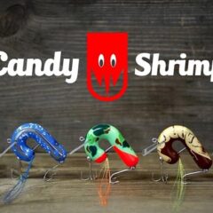 グロデベさんより新作ライスボールの入荷です! | JUNKFOOD ジャンクフード