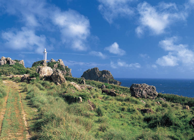 宝島の観光情報 – 十島村観光・定住情報サイト