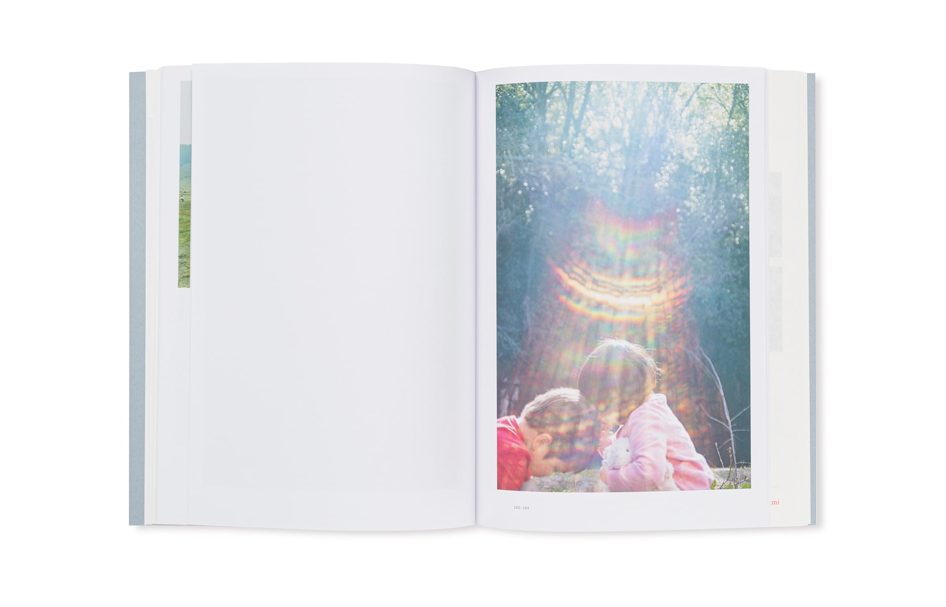 アート・デザイン・音楽 AILA Rinko Kawauchi LITTLE MORE Rinko