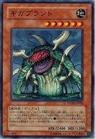 スプレンディッド・ローズ【遊戯王トレカお買得価格通販：CBトレコロ】