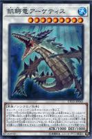 驚愕の存在 カニス【デュエルマスターズトレカお買得価格通販：CB