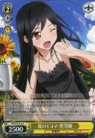 加速世界》の絆 黒雪姫【ヴァイスシュヴァルツトレカ高価買取価格査定