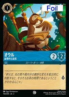 アリス 大きくなっちゃった【ロルカナお買得価格通販：CBトレコロ】