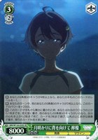 カードを買う/ヴァイスシュヴァルツ/2025年度作品/負けヒロインが多