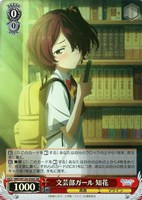 カードを買う/ヴァイスシュヴァルツ/2025年度作品/負けヒロインが多