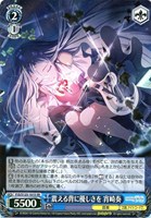 本当の想いを 朝比奈まふゆ【ヴァイスシュヴァルツトレカお買得価格