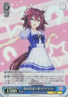 ジンクスに挑むお嬢様 サトノダイヤモンド【ヴァイスシュヴァルツ