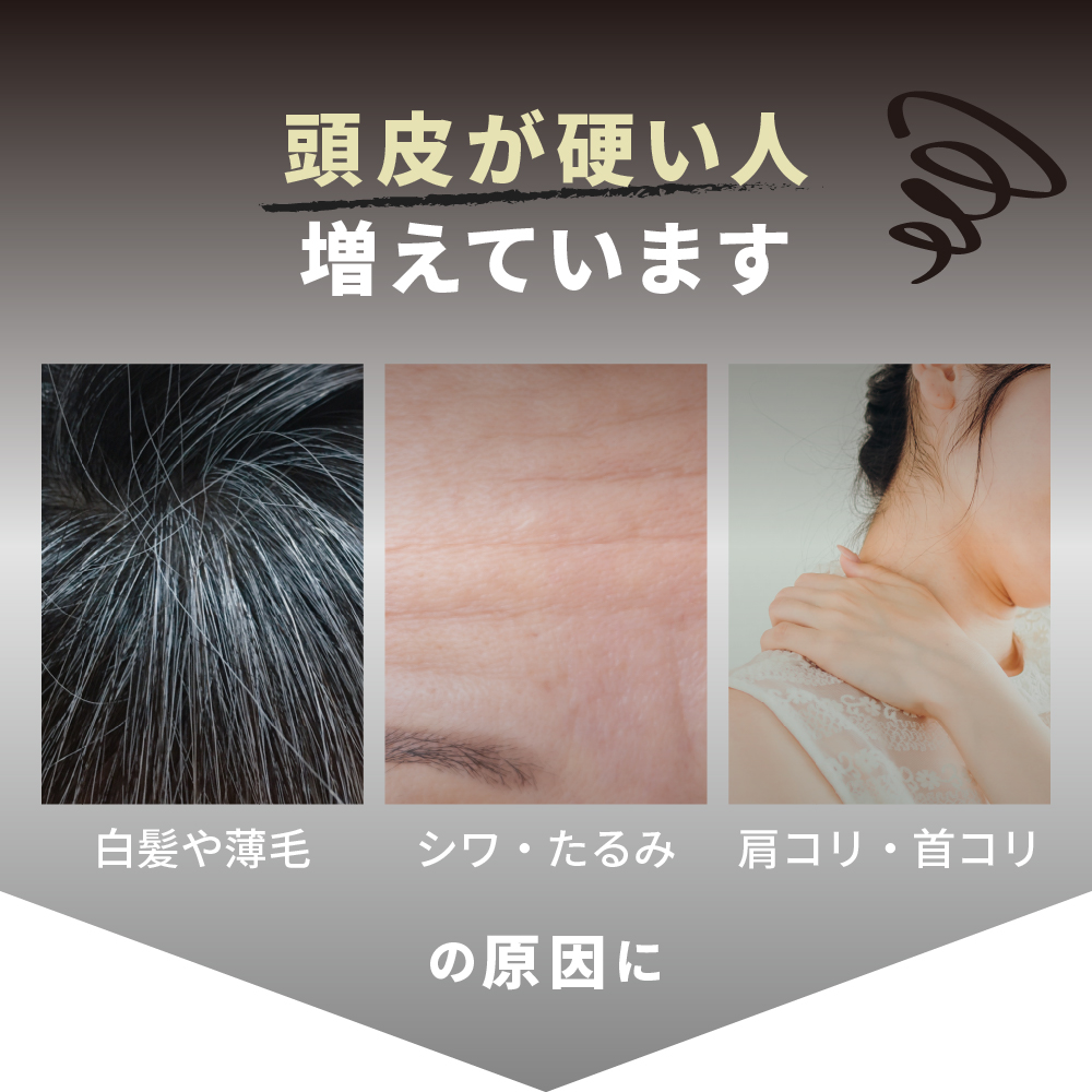 アイビル スカルプブラシ - トリコインダストリーズ