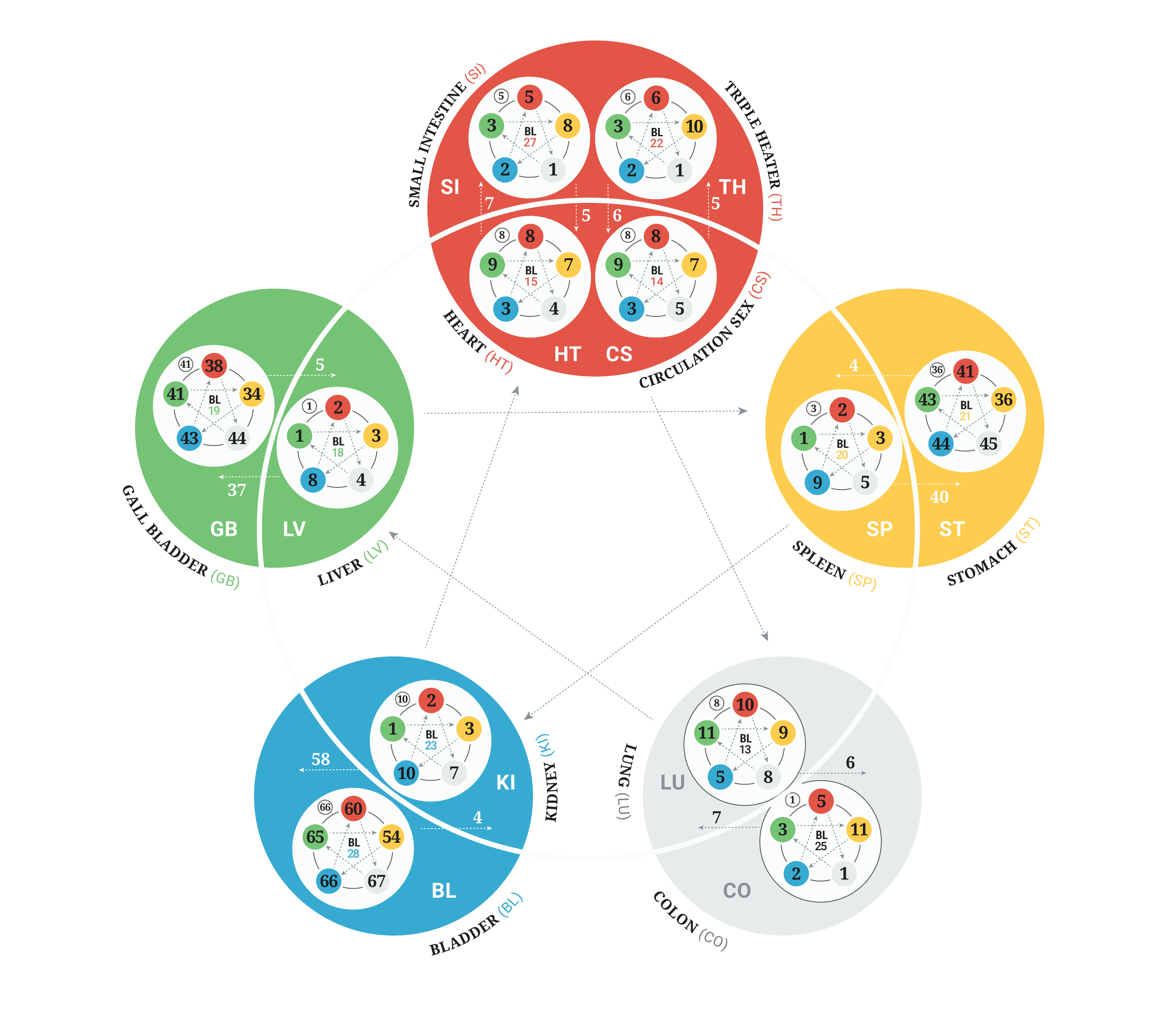 The Philosophical Foundations of Five Element Constitutional
