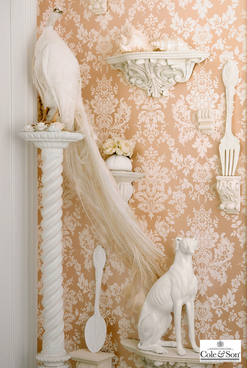 MARIINSKY 108/5024 | 輸入壁紙(クロス)のテシード