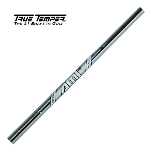 旧デザイン】トゥルーテンパー AMT TOUR WHITE トゥルーテンパーをお