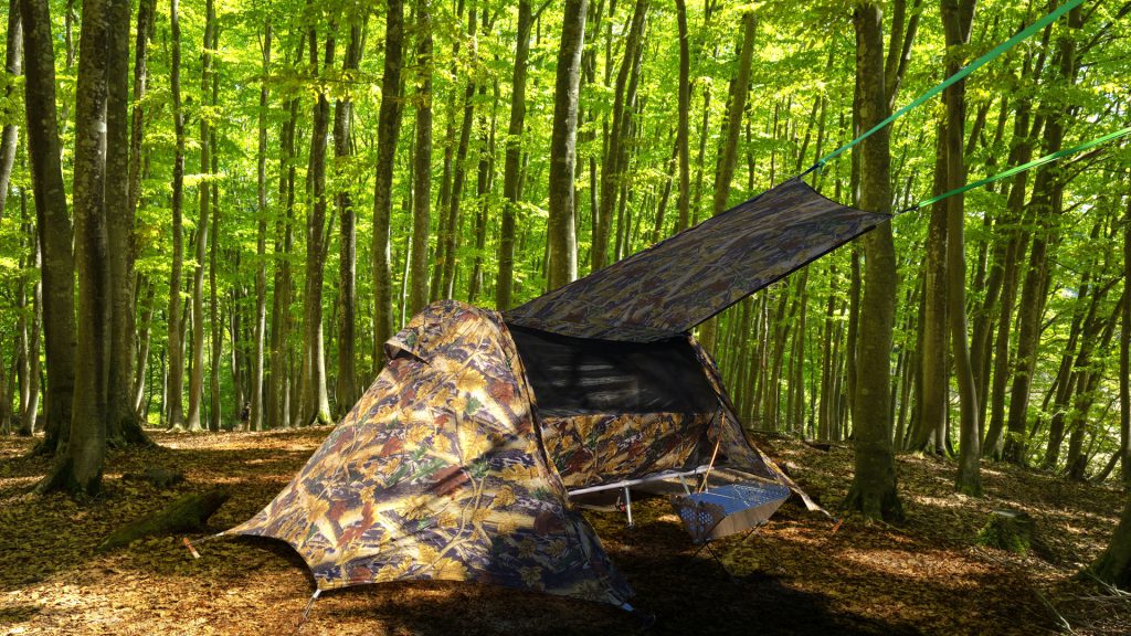 TEITO~open up a new era.~