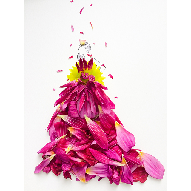 Botanist41ボタニカルアートに込めた植物への思い - NOEVIR BOTANICAL