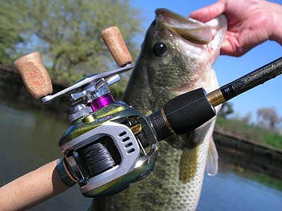 Daiwa TD-Ito reel review