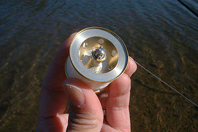 Daiwa Reel Reviews - Daiwa TD-X 100HSD 103HSDF Super Tuned