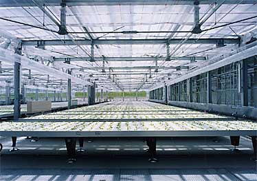 神内ファーム21プラントファクトリー│de'-TAISEI DESIGN