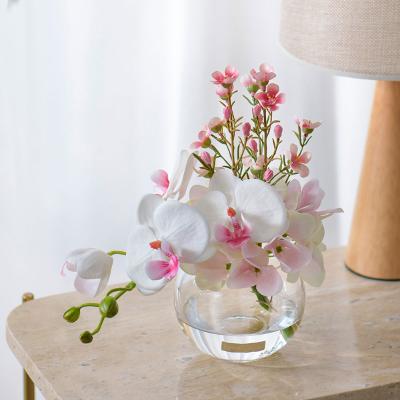 EMILIO ROBBA（エミリオ・ロバ） | ファレノプシス（胡蝶蘭