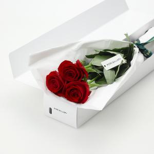 Rose Gallery（ローズギャラリー） | フラワー | リビング・ホビー