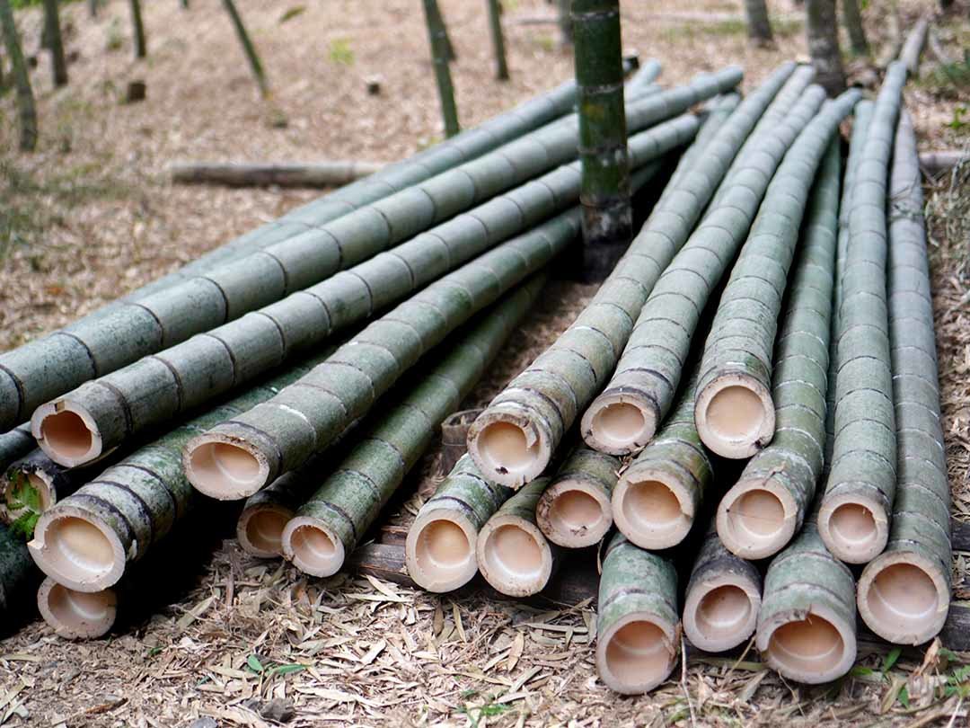 華道で使う二重切り花器 - 竹虎四代目がゆく！