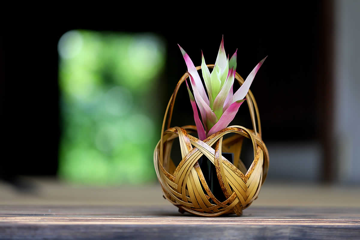 虎竹花籠 手付き四海波（豆） | 虎斑竹専門店 竹虎