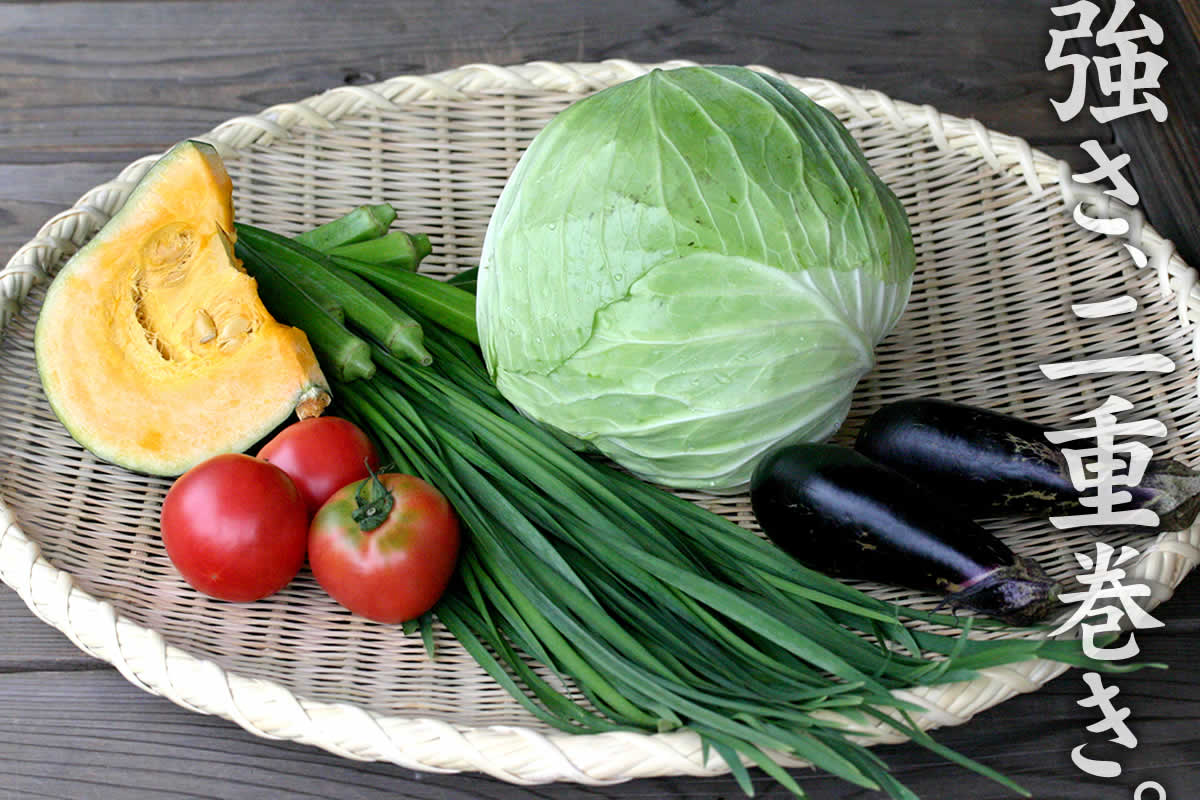 丸竹ざる（二重巻）特大 70cm | 虎斑竹専門店 竹虎