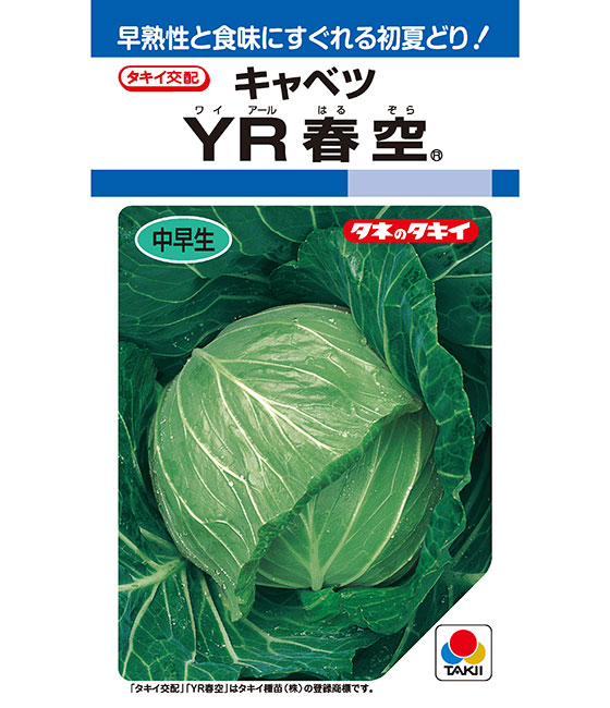 YR春空 キャベツ ｜ 品種カタログ ｜ タキイの野菜【タキイ種苗】