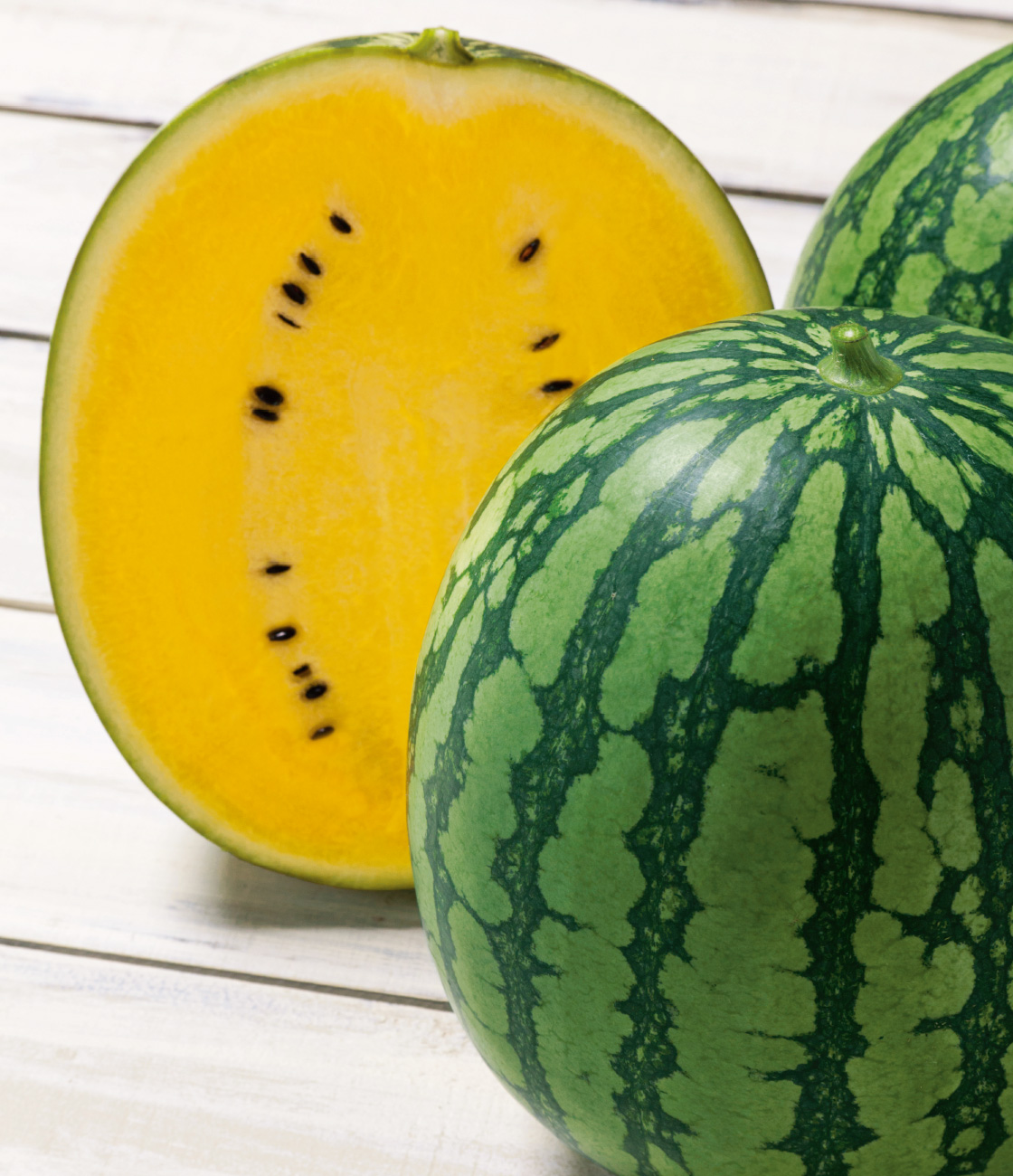 シュガームーン スイカ ｜ 品種カタログ ｜ タキイの野菜【タキイ種苗】