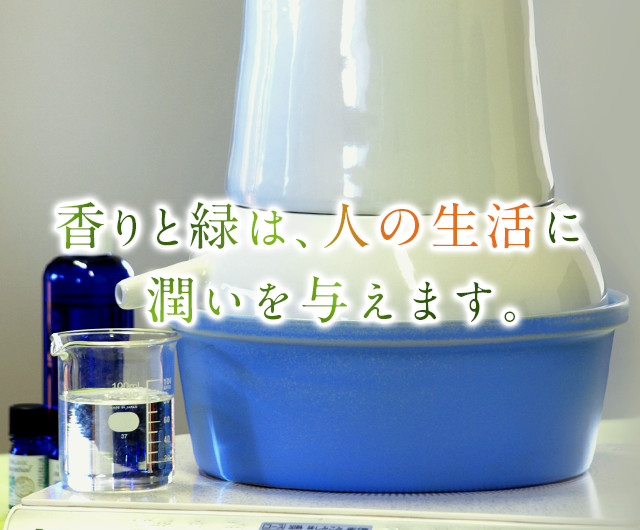 オージープランツ販売、国産ティーツリー精油生産販売、芳香蒸留器