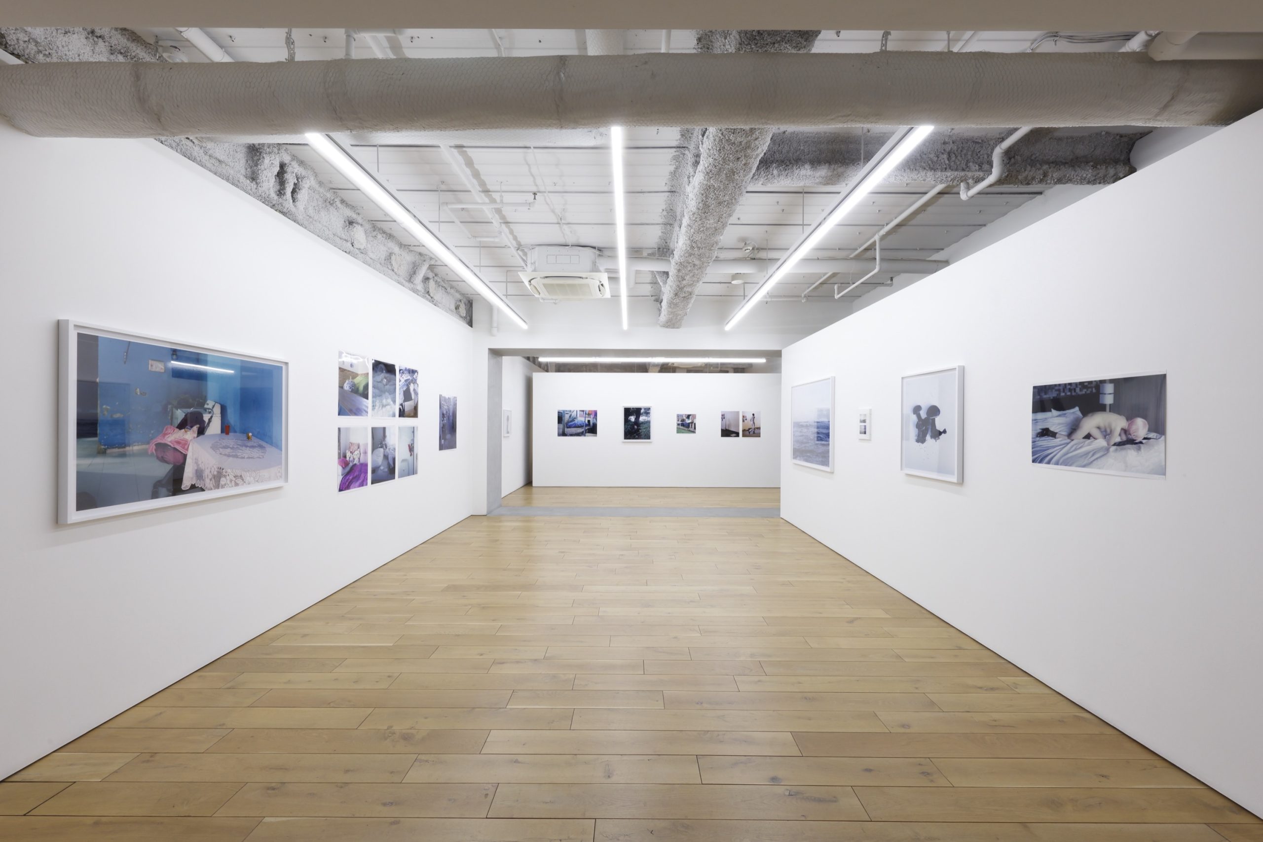 Takashi Homma「TAKASHI HOMMA 2025」 | TARO NASU