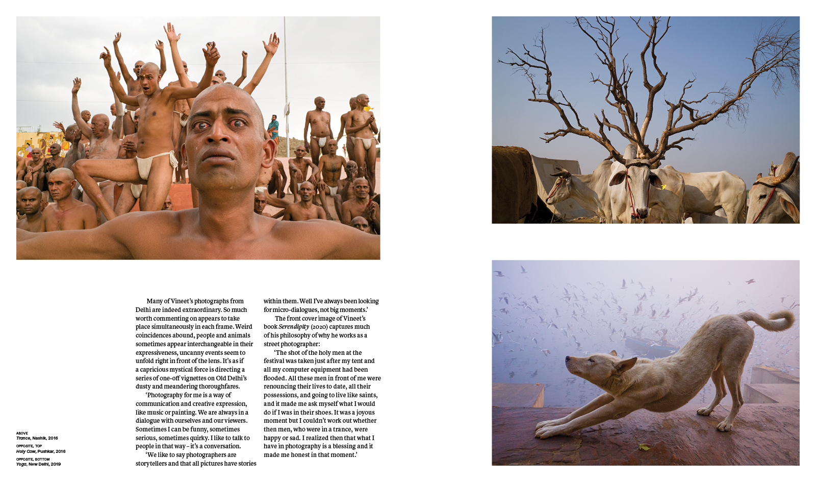 Thames & Hudson USA - Book - Reclaim the Street: Street