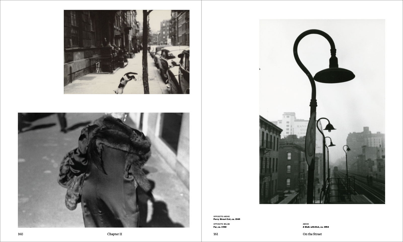 Thames & Hudson USA - Book - Saul Leiter: The Centennial Retrospective