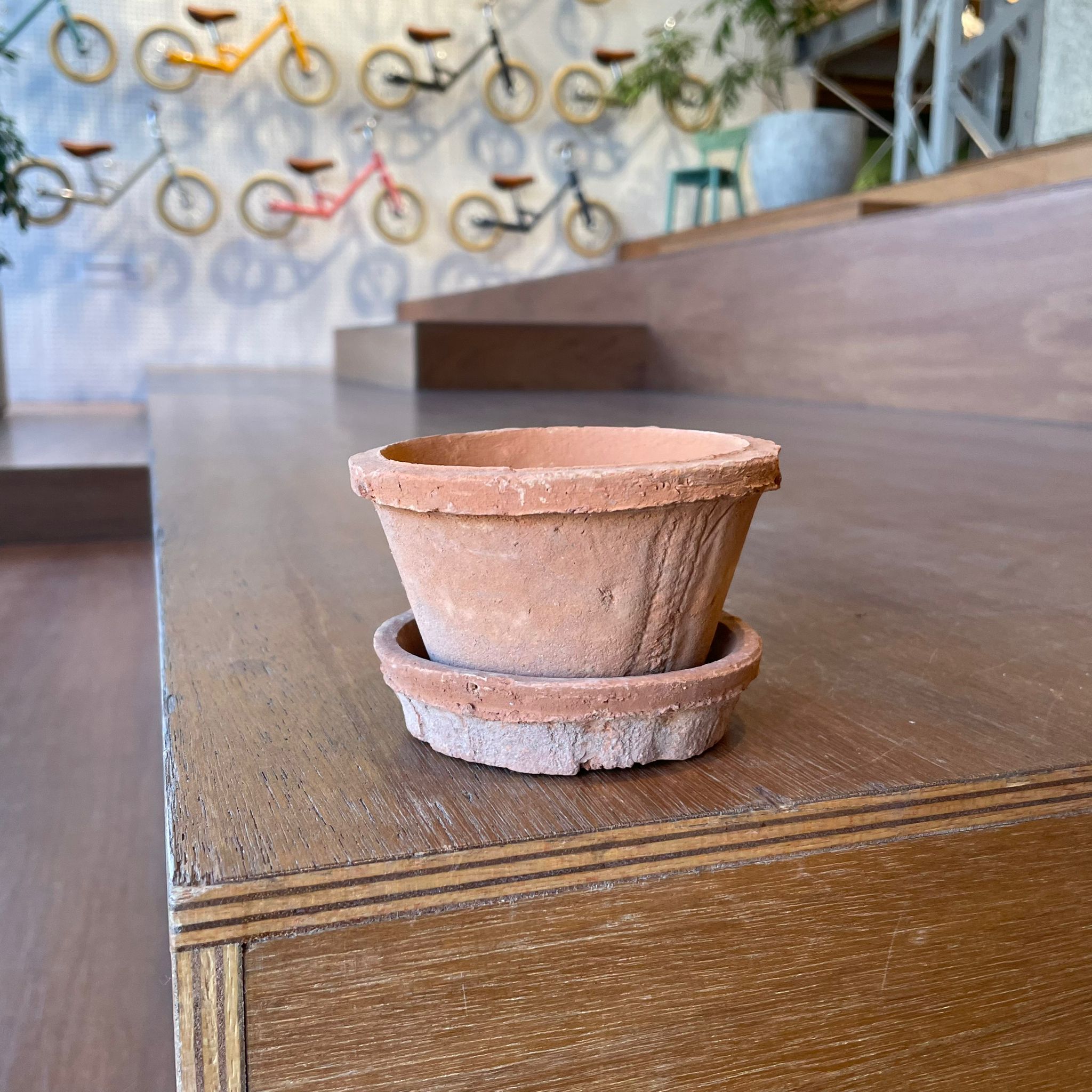 アマルフィ テラコッタプランター I 植木鉢 I プラントソサエティ