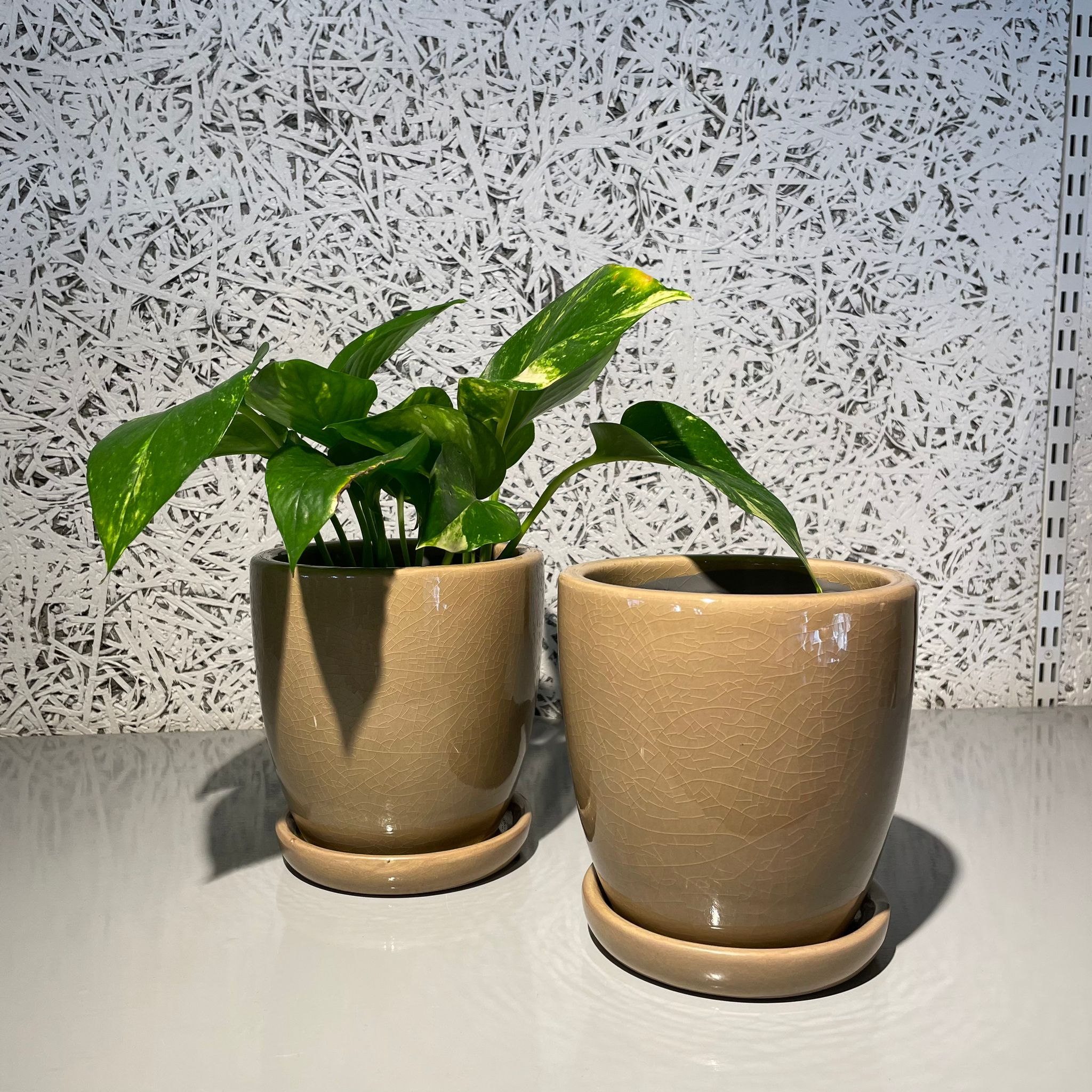 ミオプランター I 植木鉢 I プラントソサエティトーキョー – THE PLANT