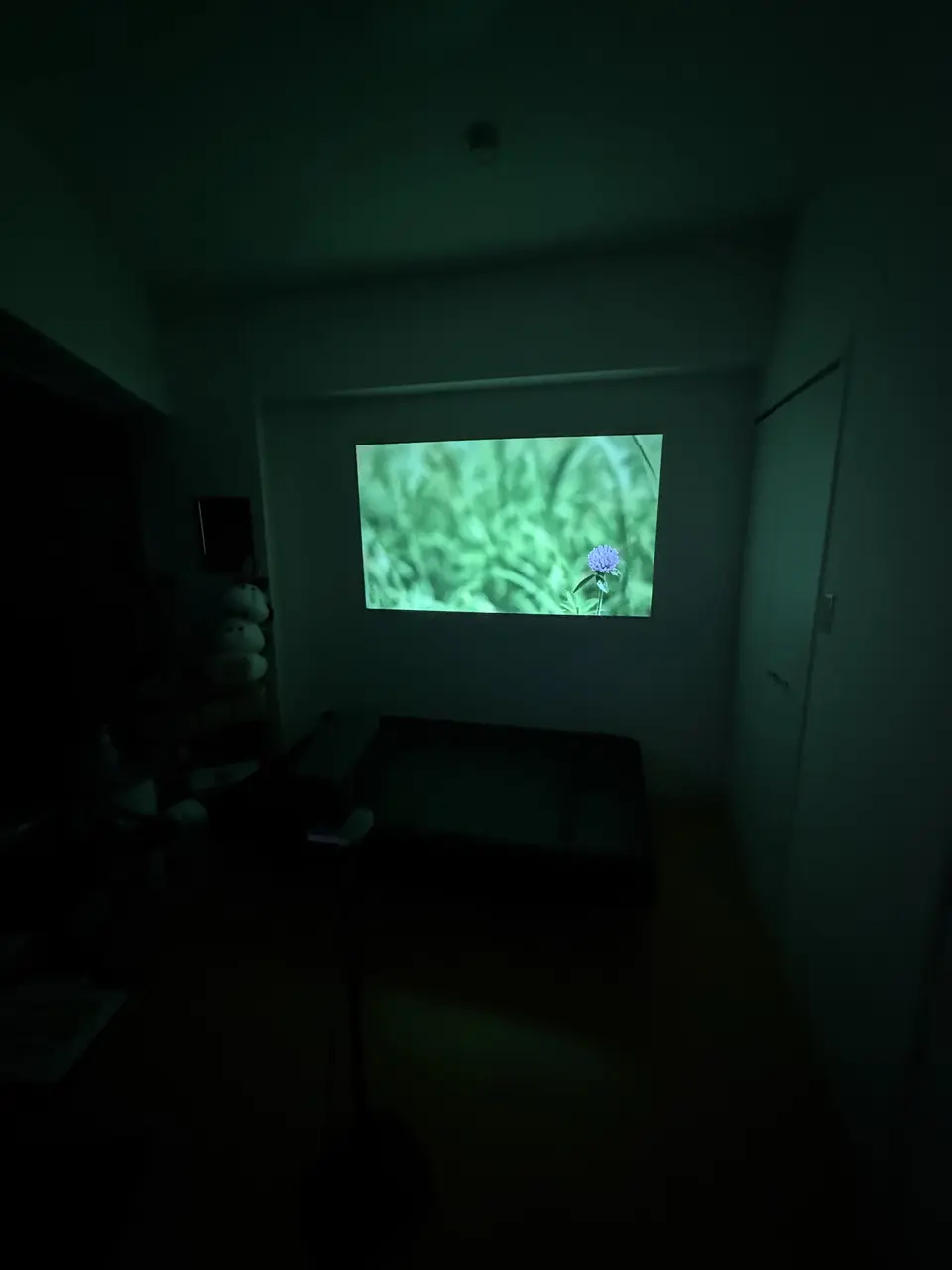 iWiMiUS S29』レビュー、750ANSIルーメン対応、Netflix公式ライセンス