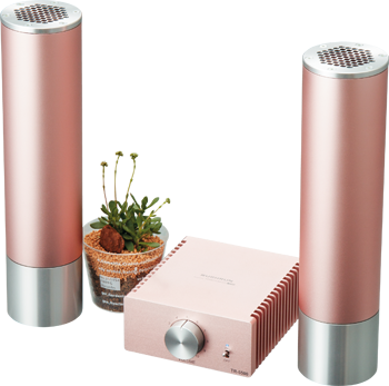 Rushrun TR-5500 タイムドメインスピーカーシステム タイムドメイン