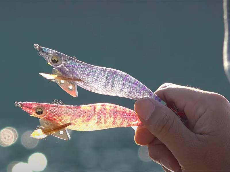 エギ王K10周年カラー】発光ではない“光の透過”のアピールでスレイカを