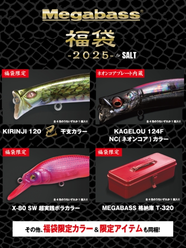 メガバス 福袋2025 ソルト用□ネコポス対象外□の通販 - 釣り助
