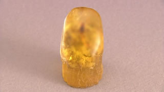 岐阜県根尾谷産 菊花石2点｜開運！なんでも鑑定団｜テレビ東京