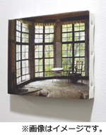 DVD｜廃墟の休日：テレビ東京