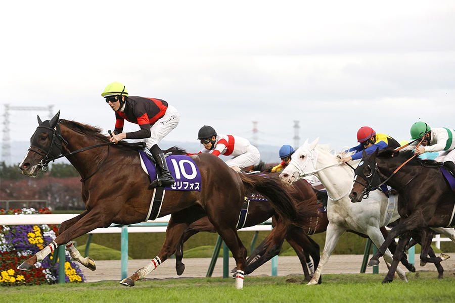 マイルCS】セリフォスの異次元の末脚 新たなるマイル王が誕生｜テレ東