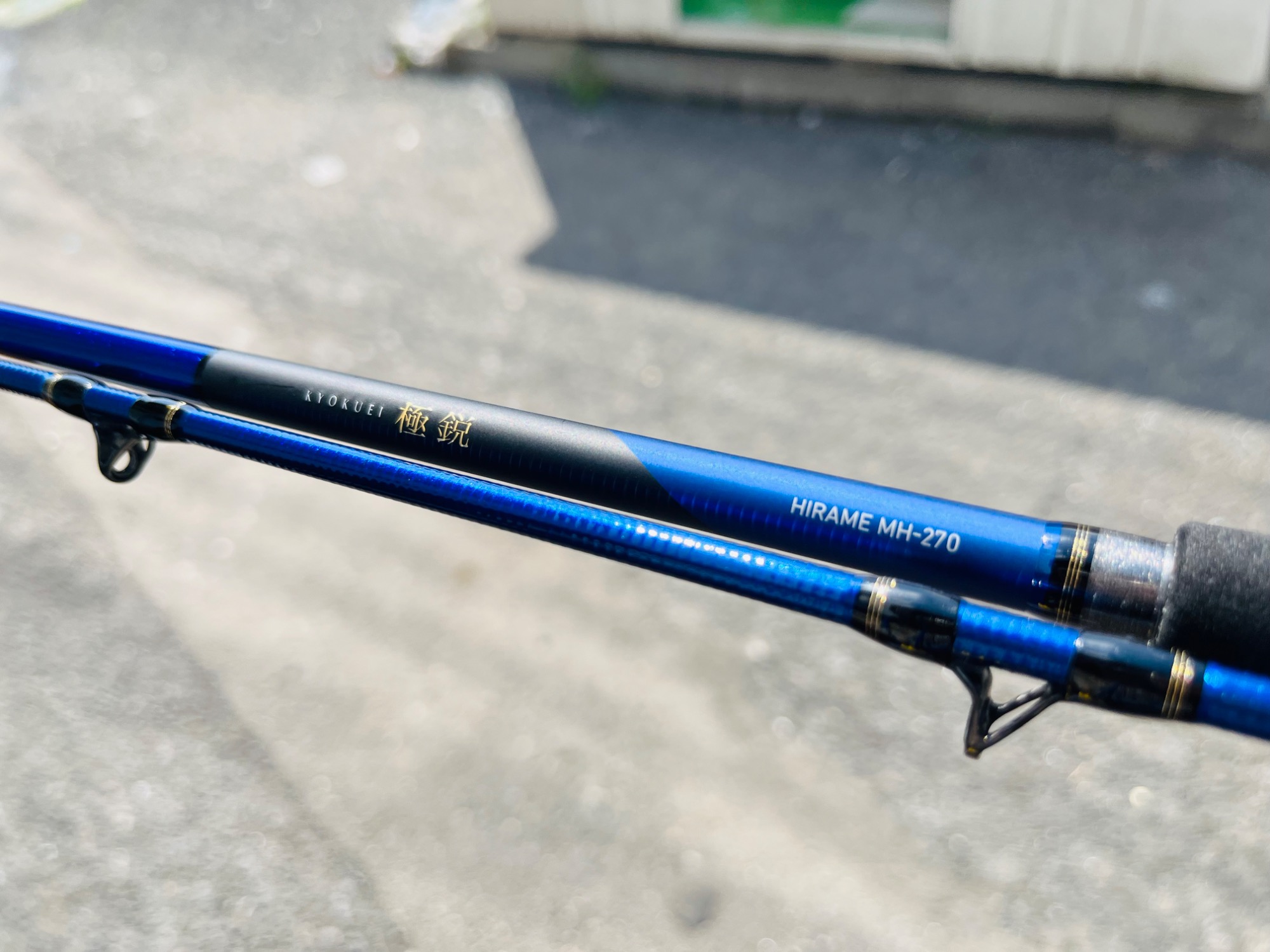 アングラー必見！！DAIWA ダイワ ロッド(釣竿)極鋭ﾋﾗﾒ MH-270・K買取