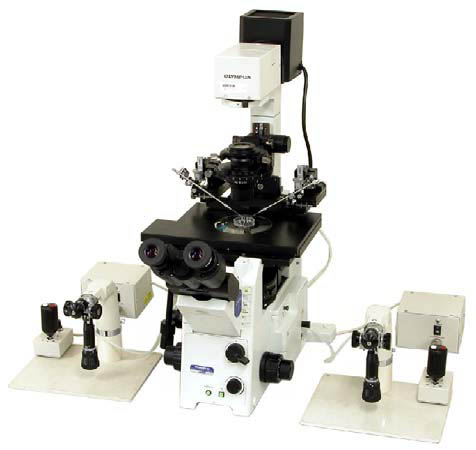 Narishige NAI-2O: Olympus Hydraulic Fine + Motorized Coarse