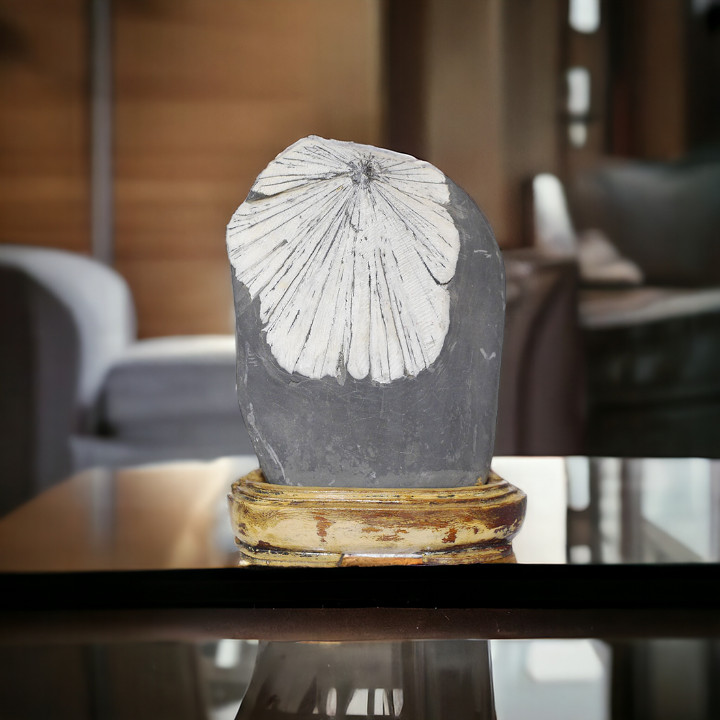 最高峰級に美しい菊模様の鑑賞石『菊花石』を紹介します！ │ 健康と