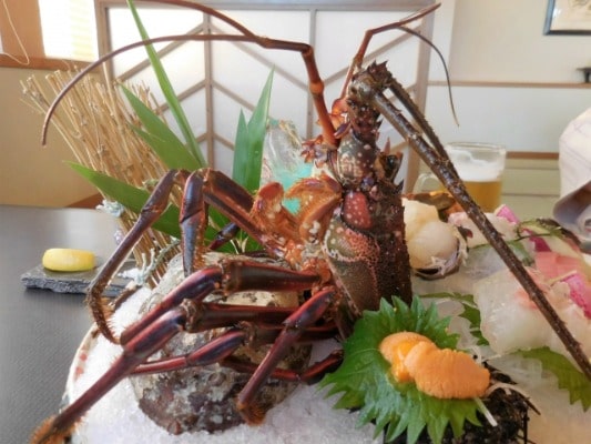 伊勢海老5尾セット-サイズ大】400g前後のサイズは大きくてお造りや