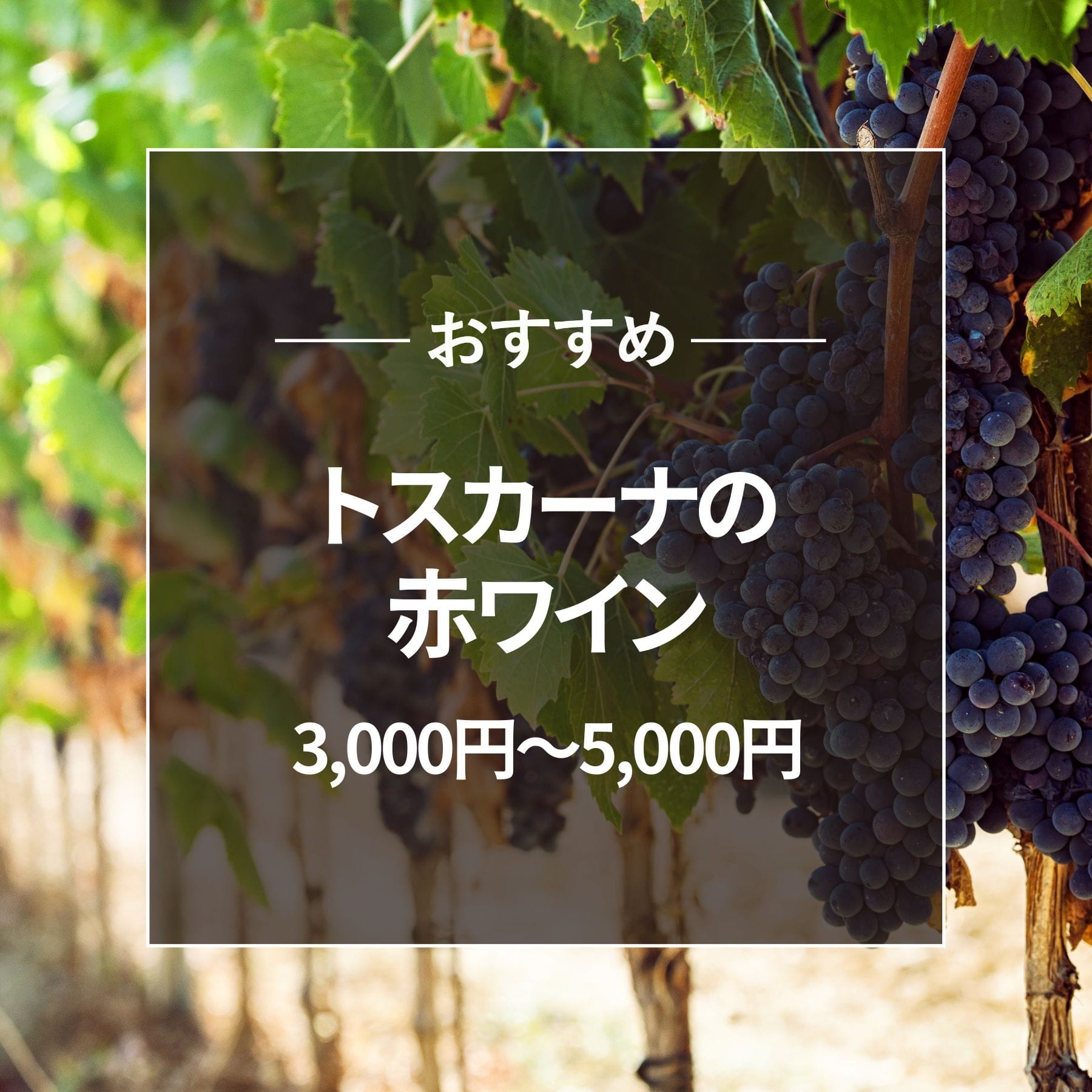 イタリア トスカーナ州の3000～5000円のおすすめ赤ワイン