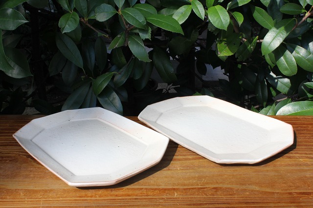 滋賀県甲賀市信楽町で作陶されている古谷製陶所（古谷浩一）作の鉄散