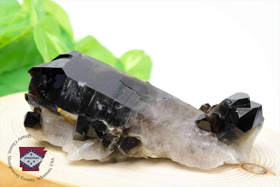 アーカンソー産 黒水晶（スモーキークォーツ）クラスター原石｜原産地