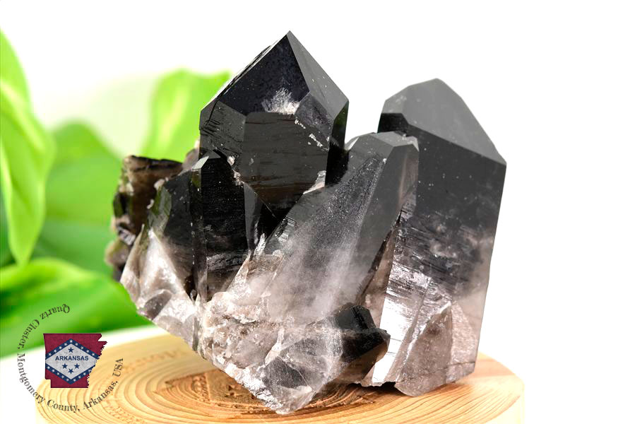 アーカンソー産 黒水晶（スモーキークォーツ）クラスター原石｜原産地