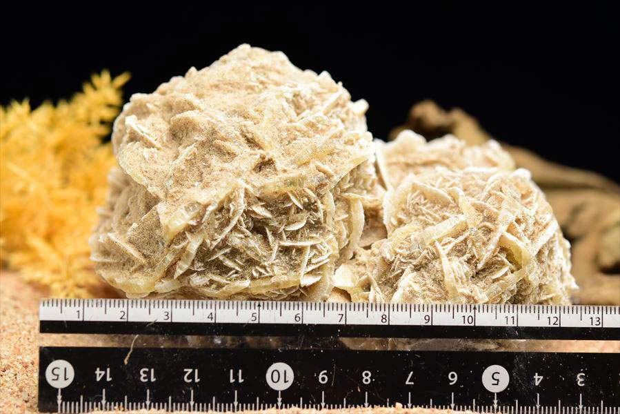 デザートローズ(砂漠の薔薇) クラスター原石｜メキシコ・サマラユ砂丘