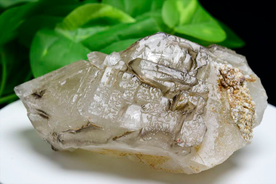 アリゲータークォーツ（ジャカレー水晶）エレスチャル 原石｜アップ